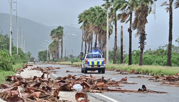 গাছপালা ভেঙ্গে যেতে দেখা গেছে দ্বীপ দেশটির কিংসটনে। ছবি : বিবিসি।